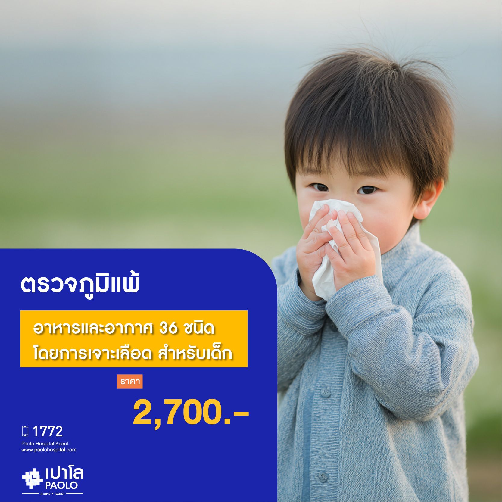 (โรงพยาบาลเปาโล เกษตร) ตรวจภูมิแพ้อาหารและอากาศ 36 ชนิด โดยการเจาะเลือดสำหรับเด็ก MS2958P26